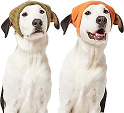 Frisco Reversible Polar Fleece Lined Dog & Cat Knit Beanie, Green, X-Large/XX-Large