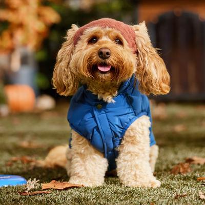 Show full view: Frisco Reversible Polar Fleece Lined Dog & Cat Knit Beanie, Navy, Medium/Large slide 6 of 10