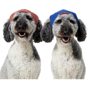 Sassy Woof Peanuts Harvest Reversible Sherpa Dog Jacket