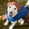 Show in main carousel: Frisco Reversible Polar Fleece Lined Dog & Cat Knit Beanie, Navy, X-Large/XX-Large slide 6 of 10