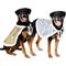 Show in main carousel: Frisco Reversible Sequin Dog & Cat Cape, X-Large/XX-Large slide 1 of 9