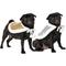 Show in main carousel: Frisco Reversible Sequin Dog & Cat Cape, X-Small/Small slide 2 of 10