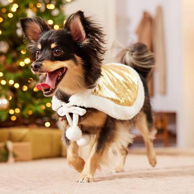 Show full view: Frisco Reversible Sequin Dog & Cat Cape, X-Small/Small slide 6 of 10
