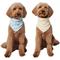 Show in main carousel: Frisco Reversible Snowflake Cozy Knit Faux Fur Dog & Cat Pullover Bandana, 1 count, Medium/Large slide 1 of 9