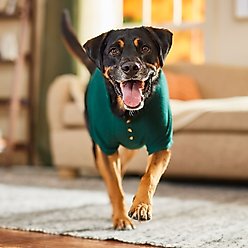 Frisco Ribbed Henley Dog & Cat T-Shirt, Green, X-Large slide 2 of 8