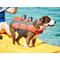 Show in main carousel: Frisco Ripstop Dog Life Jacket, Orange, Large slide 8 of 12