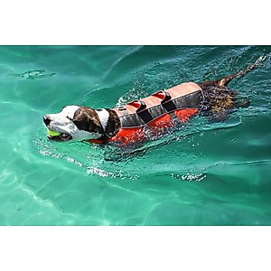 Frisco Ripstop Dog Life Jacket, Orange, Large