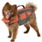 Show in main carousel: Frisco Ripstop Dog Life Jacket, Orange, Small slide 1 of 12