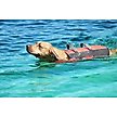 Show in main carousel: Frisco Ripstop Dog Life Jacket, Orange, X-Large slide 9 of 12