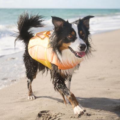 Show full view: Frisco Ripstop Dog Life Jacket, Yellow/Peach, X-Small slide 8 of 12