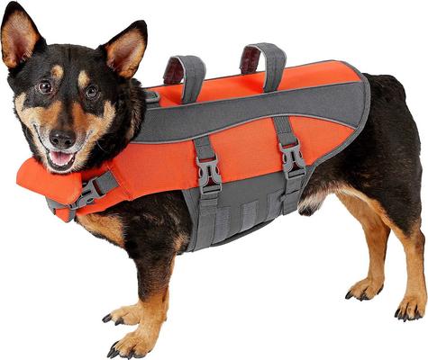 Show full view: Frisco Ripstop Life Jacket, Medium + Floating Fetch Ball No Squeak Dog Toy, Blue, Medium slide 2 of 8