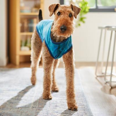 Show full view: Frisco River Watercolor Dog & Cat T-Shirt, Blue, XX-Large slide 6 of 9