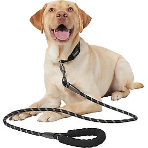 Frisco Rope Dog Leash with Padded Handle, Black, 5-ft long