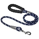 Frisco Rope Dog Leash with Padded Handle, Blue, 5-ft long