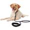 Show in main carousel: Frisco Rope Dog Leash with Padded Handle, Blue, 5-ft long slide 5 of 8