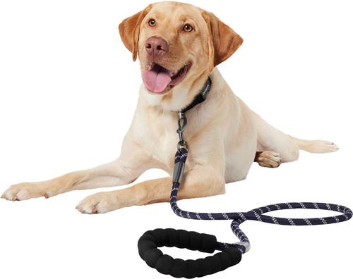 Show full view: Frisco Rope Dog Leash with Padded Handle, Blue, 5-ft long slide 5 of 8