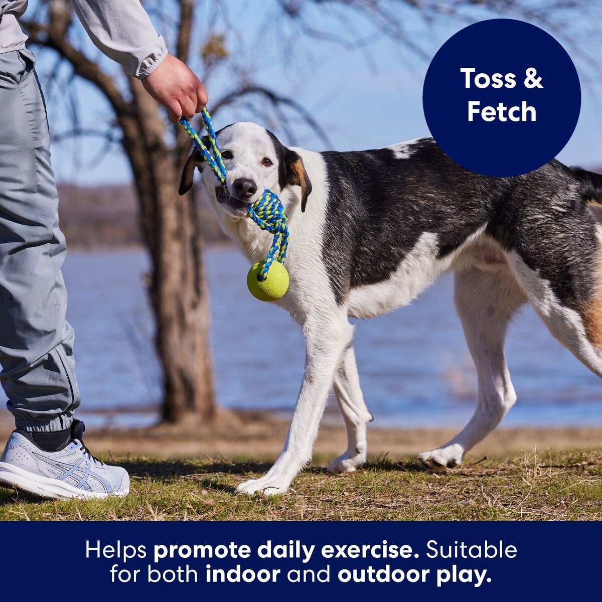 Frisco Rope with Tennis Ball Dog Toy