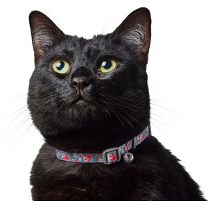 Frisco Rose Polyester Breakaway Cat Collar with Bell, 8 to 12-in neck, 3/8-in wide