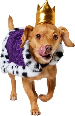 Show full view: Frisco Royal King Dog & Cat Cape Costume, X-Small/Small slide 2 of 10