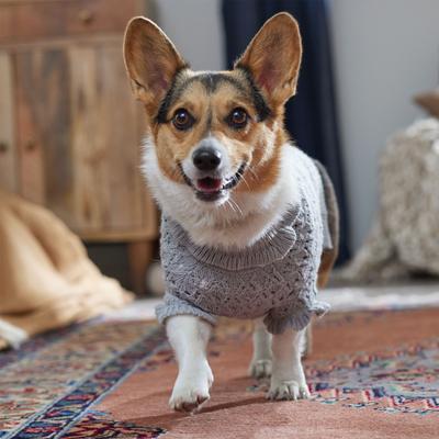 Show full view: Frisco Ruffle Knit Pointelle Dog & Cat Turtleneck Sweater, Gray, Medium slide 7 of 9