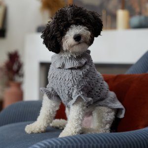 Frisco Ruffle Knit Pointelle Dog & Cat Turtleneck Sweater, Gray, Small