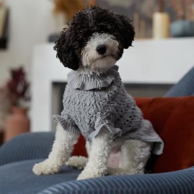 Show full view: Frisco Ruffle Knit Pointelle Dog & Cat Turtleneck Sweater, Gray, Small slide 7 of 9