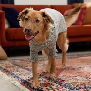 Frisco Ruffle Knit Pointelle Dog & Cat Turtleneck Sweater, Gray, XX-Large