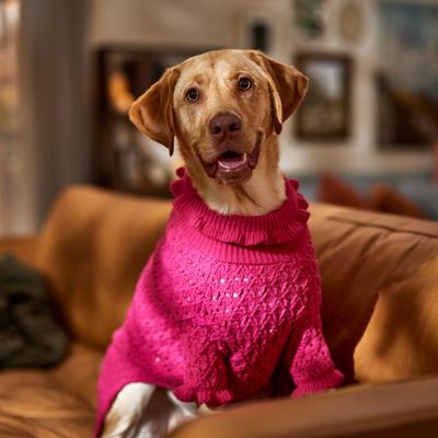 Show full view: Frisco Ruffle Knit Pointelle Dog & Cat Turtleneck Sweater, Pink, XX-Large slide 6 of 8