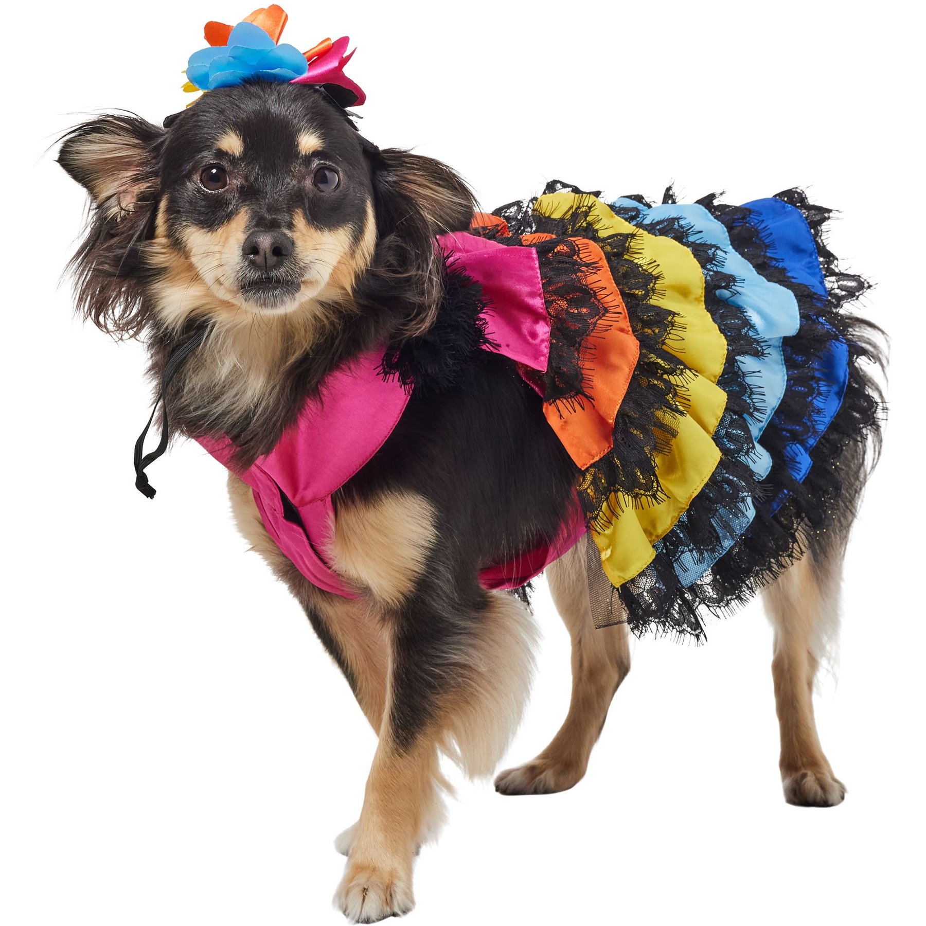 Frisco Ruffle Party Dog & Cat Dress + Headpiece, Medium