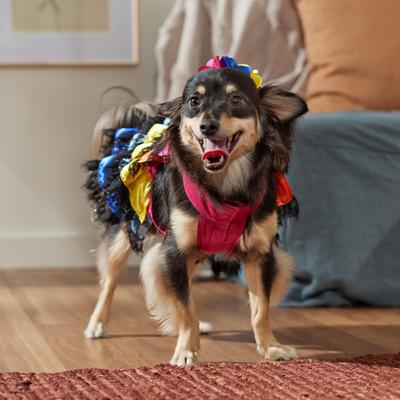 Show full view: Frisco Ruffle Party Dog & Cat Dress + Headpiece, Medium slide 8 of 10