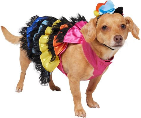 Show full view: Frisco Ruffle Party Dog & Cat Dress + Headpiece, Small slide 4 of 11