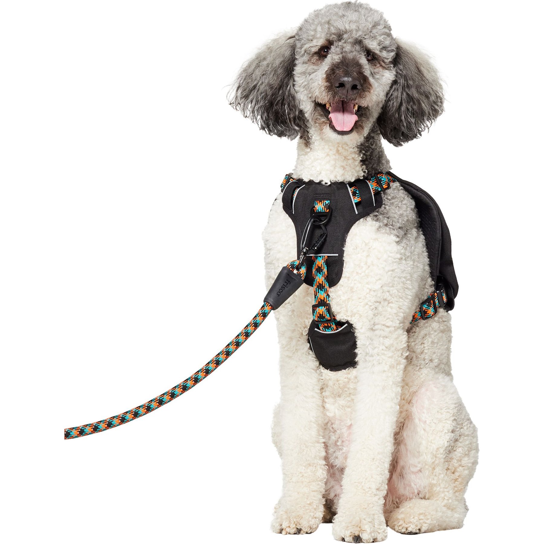 Frisco Rugged Day Pack Harness with Reflective Straps, Black, X-Large
