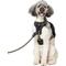 Show in main carousel: Frisco Rugged Day Pack Harness with Reflective Straps, Black, X-Large slide 1 of 12