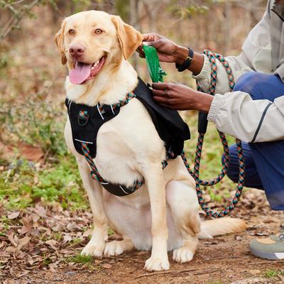 Show full view: Frisco Rugged Day Pack Harness with Reflective Straps, Black, XX-Large/XXX-Large slide 7 of 11