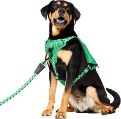 Frisco Rugged Day Pack Harness with Reflective Straps, Green, Large