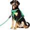 Show in main carousel: Frisco Rugged Day Pack Harness with Reflective Straps, Green, Large slide 1 of 12