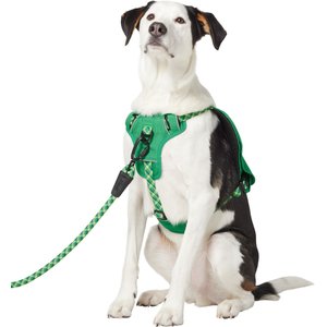 Frisco Rugged Day Pack Harness with Reflective Straps, Green, X-Large