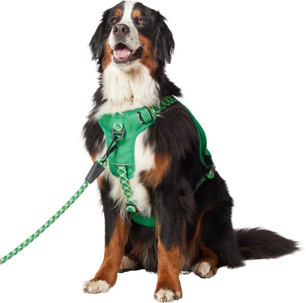 Show full view: Frisco Rugged Day Pack Harness with Reflective Straps, Green, XX-Large/XXX-Large slide 1 of 11