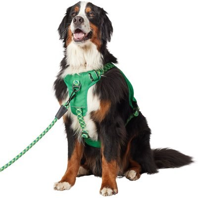 Frisco Frisco Rugged Day Pack Harness with Reflective Straps, Green, XX-Large/XXX-Large