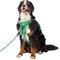 Show in main carousel: Frisco Rugged Day Pack Harness with Reflective Straps, Green, XX-Large/XXX-Large slide 1 of 11