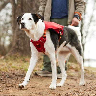Show full view: Frisco Rugged Day Pack Harness with Reflective Straps, Red, Large slide 7 of 10