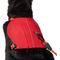 Show in main carousel: Frisco Rugged Day Pack Harness with Reflective Straps, Red, XX-Large/XXX-Large slide 2 of 11
