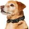 Show in main carousel: Frisco Rugged Reflective Rope Dog Collar, Black, 16 to 18-in neck, 3/4-in wide slide 3 of 11