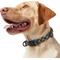 Show in main carousel: Frisco Rugged Reflective Rope Dog Collar, Black, 18 to 20-in neck, 3/4-in wide slide 3 of 11