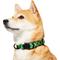 Show in main carousel: Frisco Rugged Reflective Rope Dog Collar, Green, 14 to 16-in neck, 3/4-in wide slide 3 of 11