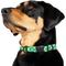 Show in main carousel: Frisco Rugged Reflective Rope Dog Collar, Green, 16 to 18-in neck, 3/4-in wide slide 3 of 11