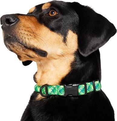 Show full view: Frisco Rugged Reflective Rope Dog Collar, Green, 16 to 18-in neck, 3/4-in wide slide 3 of 11