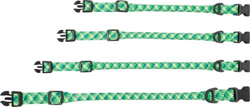 Show full view: Frisco Rugged Reflective Rope Dog Collar, Green, 18 to 20-in neck, 3/4-in wide slide 5 of 11