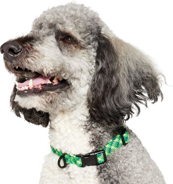 Show full view: Frisco Rugged Reflective Rope Dog Collar, Green, 18 to 20-in neck, 3/4-in wide slide 3 of 11