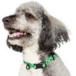 Show in main carousel: Frisco Rugged Reflective Rope Dog Collar, Green, 18 to 20-in neck, 3/4-in wide slide 3 of 11